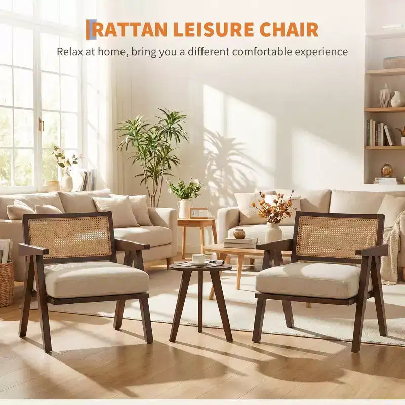 Sedia d'accento con schienale in rattan beige/nero/grigio, imbottita con braccioli, set da 2 pezzi